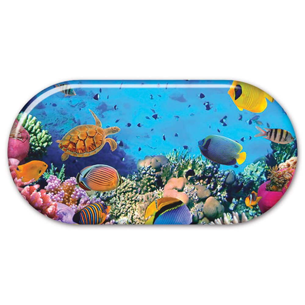 Translucent Personalized Travel Cases Translucent Personalized Travel Cases