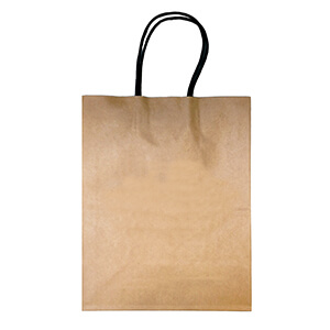 Retail Bags For The Office Amcon Labs Eyecare Supply Center Kraft Paper Bag