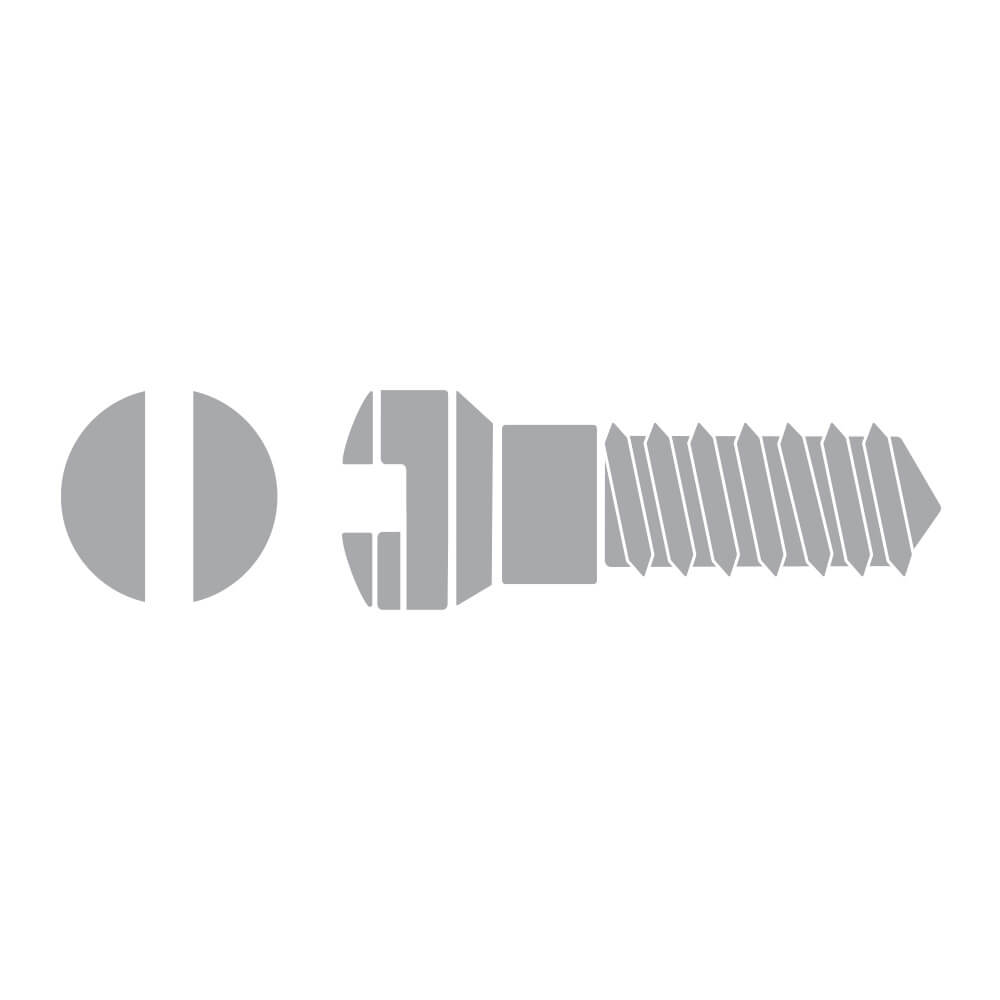 Eyewire Screw SW-0103-G