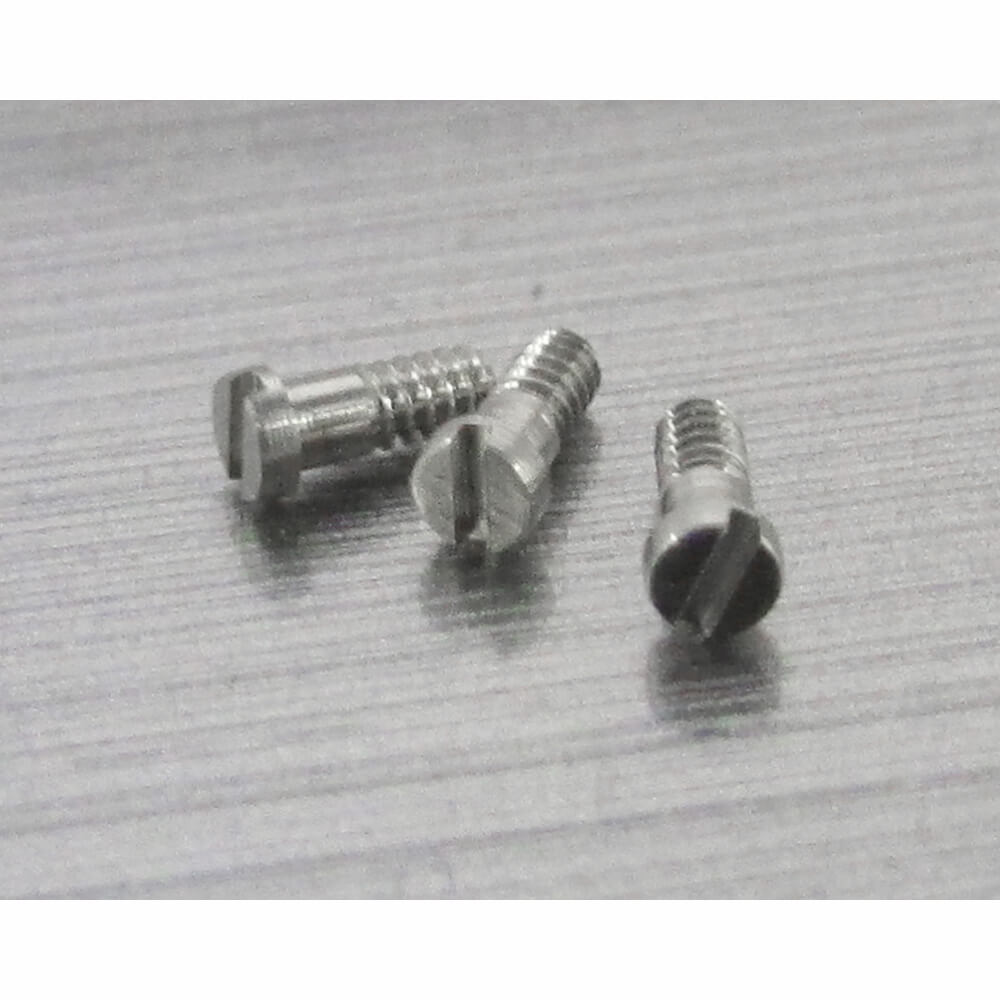 Hinge/Eyewire Screw