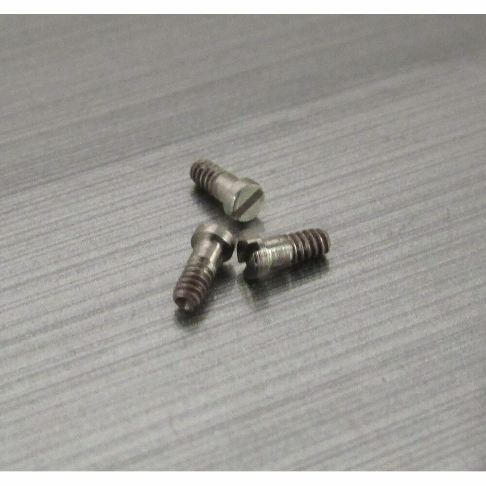 Hinge/Eyewire Screw